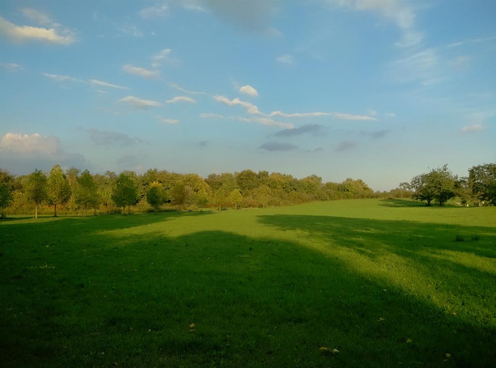 Ornato Garden Apartment Milano Eksteriør bilde